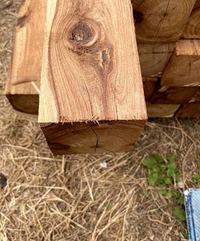 Cyprus Pine Post 140X140